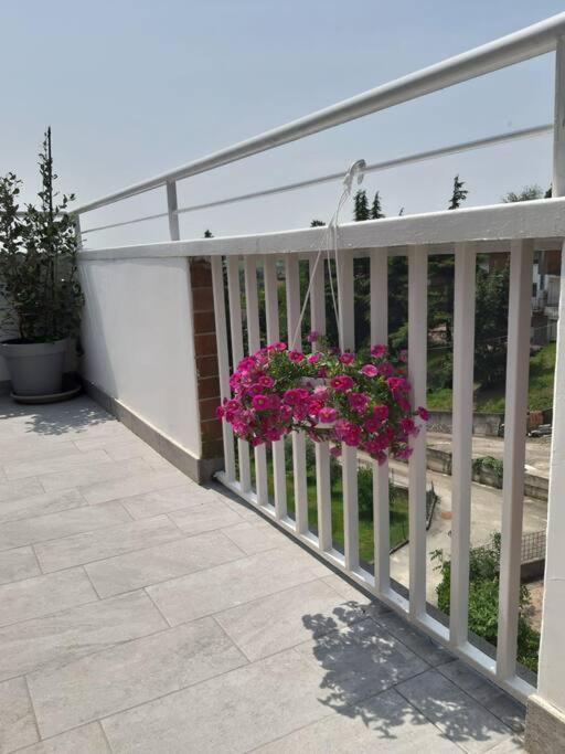Casa Tra I Castelli Apartment San Martino Alfieri Exterior photo